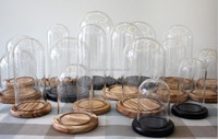 Dôme en verre avec base, écologique, durable, design moderne, utilisation en intérieur pour plantes, fleurs, cadeau pour appareil photo