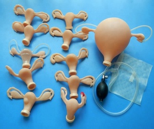 Mô Phỏng Kiểm Tra Phụ Khoa, Kiểm Tra Âm Đạo, Giảng Dạy Kỹ Năng GYN - Product Image 3