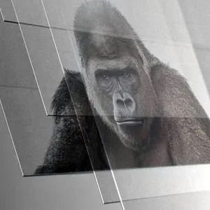 Chất Lượng Cao 9H 2.5D Chống Trầy Xước Tempered Corning Gorilla Glass Bảo Vệ Màn Hình Cho Đồng Hồ Thông Minh