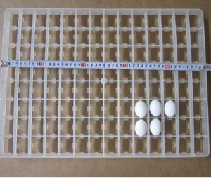Bandeja para ovo de plástico, bandeja para ovos de galinha incubadora bandeja de ovos de plástico malásia