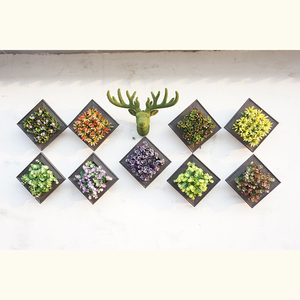 Decorativas al por mayor ciervos cabeza foto madera marco plantas suculentas Frames Set - Product Image 5