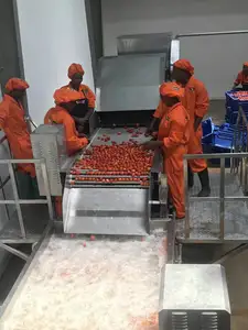 الكيس معجون الطماطم معالجة خط صوص الطماطم خط الإنتاج الطماطم المربى صنع آلة