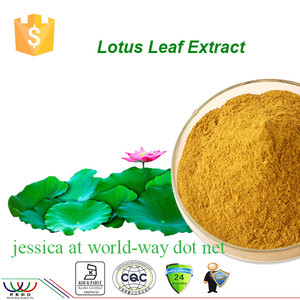 Kostenlose proben lotusblatt-extrakt nuciferin, 1% 2% nuciferin pulver lotusblatt extrakt lieferant - Product Image 1