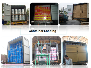 Kết Cấu Ngoài Trời Bê Tông <span class=keywords><strong>Knockdown</strong></span> Kết Thúc Kết Cấu Sơn - Product Image 5