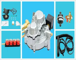 LPG CNG GPL NGV Peralatan/Konversi Kit/CNG Reducer/Regulator