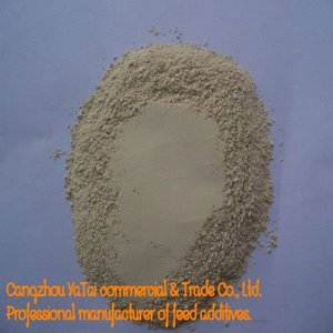 Probiotics-Bacillus subtilis, aditivo alimenticio para control de las enfermedades ASTRO-solares