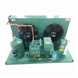 Unidad de condensación de baja temperatura unidad de refrigeración de almacenamiento en frío bastidores multy compresor para habitación fría