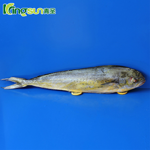 Venta caliente del precio bajo mariscos redondo entero congelado mahi 2 kg arriba - Product Image 1