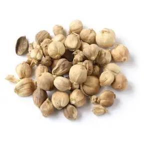 <span class=keywords><strong>Cardamomo</strong></span> Blanco Seco Natural Bai Dou Kou, Amomum Kravanh Pierre Ex Gagnep, Frutas para Especias - Product Image 1