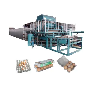 pulp molding process to make egg carton making machine HR-4000