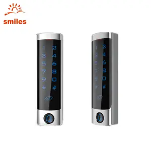 Slim Type Touch Screen Metal Access Control/Touch Door Keypads Support Codes and RFID Reader