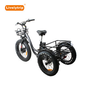 <span class=keywords><strong>Bafang</strong></span> <span class=keywords><strong>moteur</strong></span> de moyeu <span class=keywords><strong>avant</strong></span> chargement électrique trois roues vélo/pédicab électrique - Product Image 4