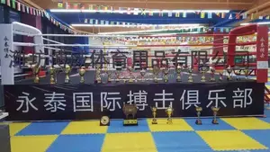 Estándar Internacional 7 m x 7 m x 1 m ring de boxeo para la venta