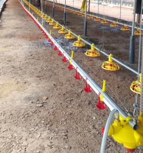 Equipos de aves de corral de cría de pollos de engorde de pollo casa de labranza del suelo suelo - Product Image 3