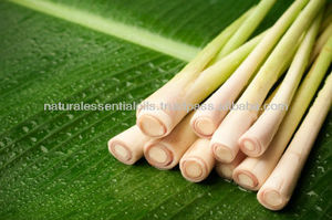 Huile essentielle de citronnelle naturelle 100% pure biologique en vrac de qualité supérieure pour la fabrication de bougies cosmétiques aromathérapie vente en gros - Product Image 4