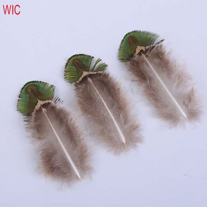 Plume de paon dorée de petite taille, 1 pièce