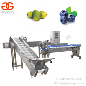 Machine professionnelle de calibrage automatique, convoyeur pour la viande, les cerises - Product Image 2