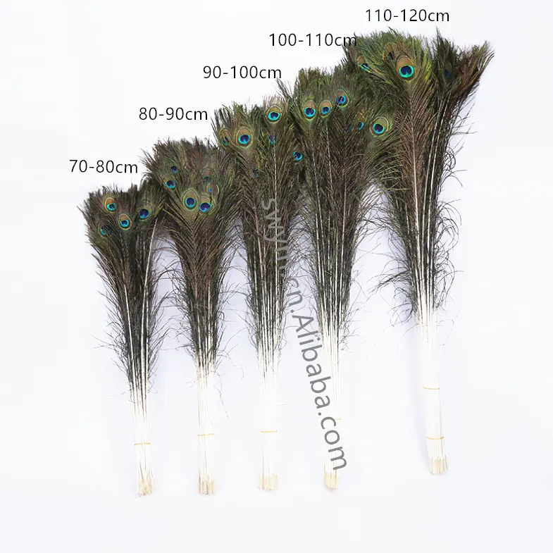 Wholesale Natural Peacock Feather Fringe 90-100センチメートルPeacock Tail Feather