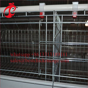 Cages à poulet automatique, 1,5 flambant neuves, cages en serre, utilisé pour les poules, vente en gros - Product Image 6