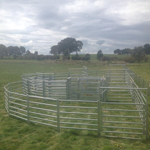 1-3/4 ''Vòng cường độ cao ống 50'' cao 2x4 Dây ĐầY cổng - Product Image 6