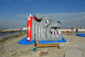 Trung Học Linh Vật Inflatable Bulldog Tunnel, Inflatable Bóng Đá Tunnel, Inflatable Thể Thao Tunnel TL-23 - Product Image 5