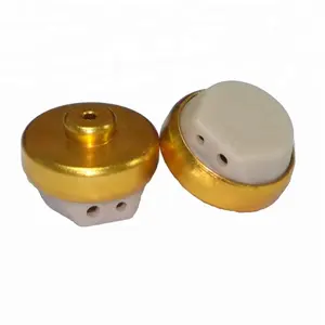 Best Hearing aid Accessories Wholesale Supply Best Quality Accessory gold Color Hearing Aid 2 Pin Receiver