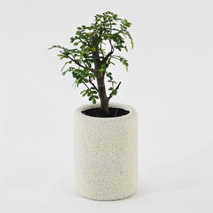 Simple Design White <b>Light</b> Weight Wholesale Concrete <b>Plant</b> Pot - Product Image 3