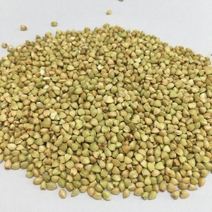 Bán Hot Tartary Kiều Mạch Hạt Nhân Mà Không Có Kiều Mạch Vỏ - Product Image 6