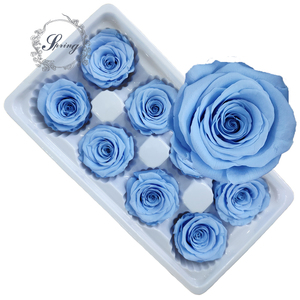 <span class=keywords><strong>Rose</strong></span> Eterne Preservate di Alta Qualità, Colorate, Grado A, 4-5 cm, per Confezioni Floreali - Product Image 5