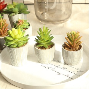 D1075 Mini Pianta Artificiale in Vaso Succulenta all'Ingrosso - Product Image 4