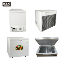 Congelador Horizontal Eléctrico de Acero Inoxidable de Gran Tamaño, 450L, Doble Puerta, Descongelación Manual, Eficiencia Energética Grado 1, para Uso Doméstico, para Helados, con Certificación CE
