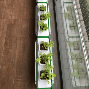 Indoor Smart Hydroponics Convenient for Plant Flowers and Vegetables