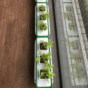 Indoor Smart hydroponics convenient for plant Flowers and vegetables