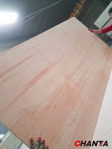 Contreplaqué d'eucalyptus professionnel/planches de bois stratifié/contreplaqué revêtu de haute qualité - Product Image 5