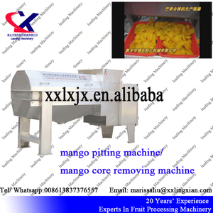 <span class=keywords><strong>Mango</strong></span> automático pasta destone máquina 3 t/h trituradora fruta industrial Extractor de pulpa - Product Image 6