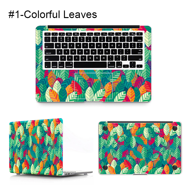 #1-Feuille de couleur