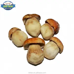 Detan-مجمد Boletus Edulis في جميع أنواع الفطر