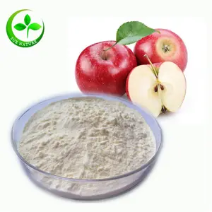 Factory supply apple juice concentrate powder