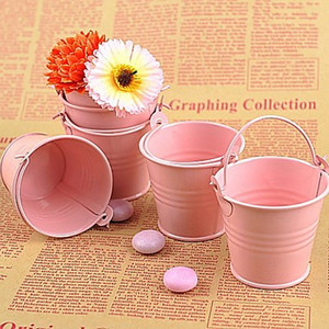 Macetas de lata pequeñas para decoración, diseño personalizado de fábrica, a la moda, para jardín y tienda - Product Image 5