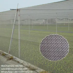 HDPE Anti Insect Nets Green Vegetable Net for Proof Insect