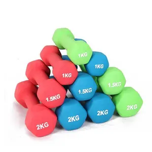 Reapbarbell Gym Power Workout Training Equipment Cast Iron Dumbbell Free Weight Neoprene Hex Dumbbell