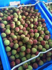 Litchi — fruits frais et merveilleux, fruits anciens, Litchi - Product Image 6