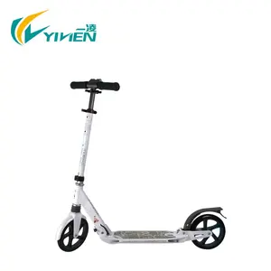 Two Wheel Kick Scooter,Adjustable and Foldable Foot Scooter