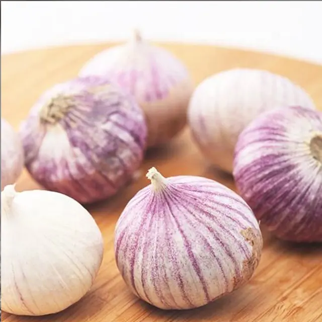 2022新しい作物ユナンオーガニックシングルソロ個別紫新鮮ニンニク供給卸売価格