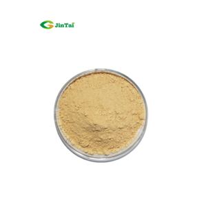 Bột Chiết Xuất Nhân Sâm Panax Chất Lượng Cao <span class=keywords><strong>Ginsenoside</strong></span> Rg1 - Product Image 2
