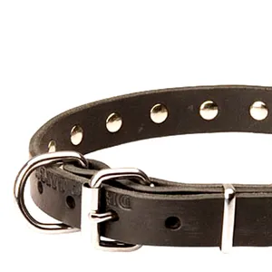 Best Quality Genuine Leather Dog Training Collar For Running