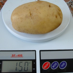 Свежий картофель из Голландии - Product Image 2