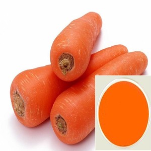 سعر الجملة مستخلصات الجزر ألفا كاروتين وبيتا كاروتين مسحوق تبييض كريم CAS-99-5 - Product Image 2