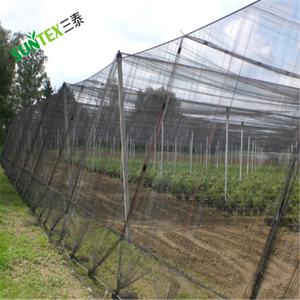 Giá rẻ lợp vật liệu chống côn trùng Net/chống lão hóa nhựa thấm trellis lưới/nhà kính cửa sổ màn hình lưới Pest lưới - Product Image 5