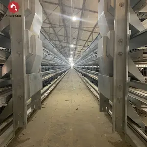 H type battery layer chicken cages with hot galvanized feeders/feed trough